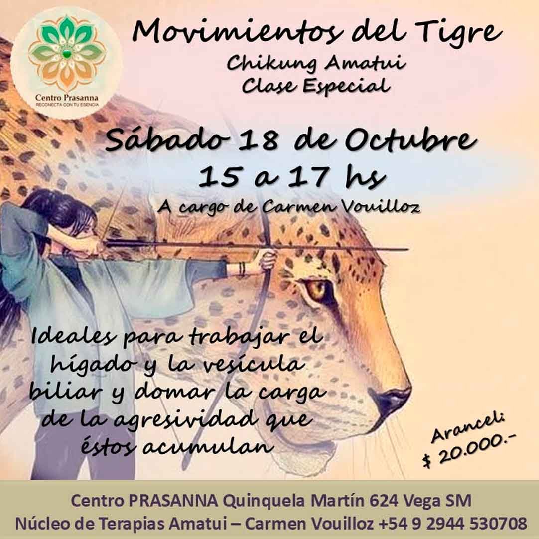 18 Octubre. Movimientos del Tigre. Chikung Amatui