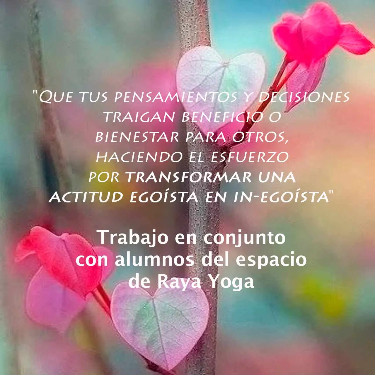 Transformar pensamientos egoístas en in-egoístas